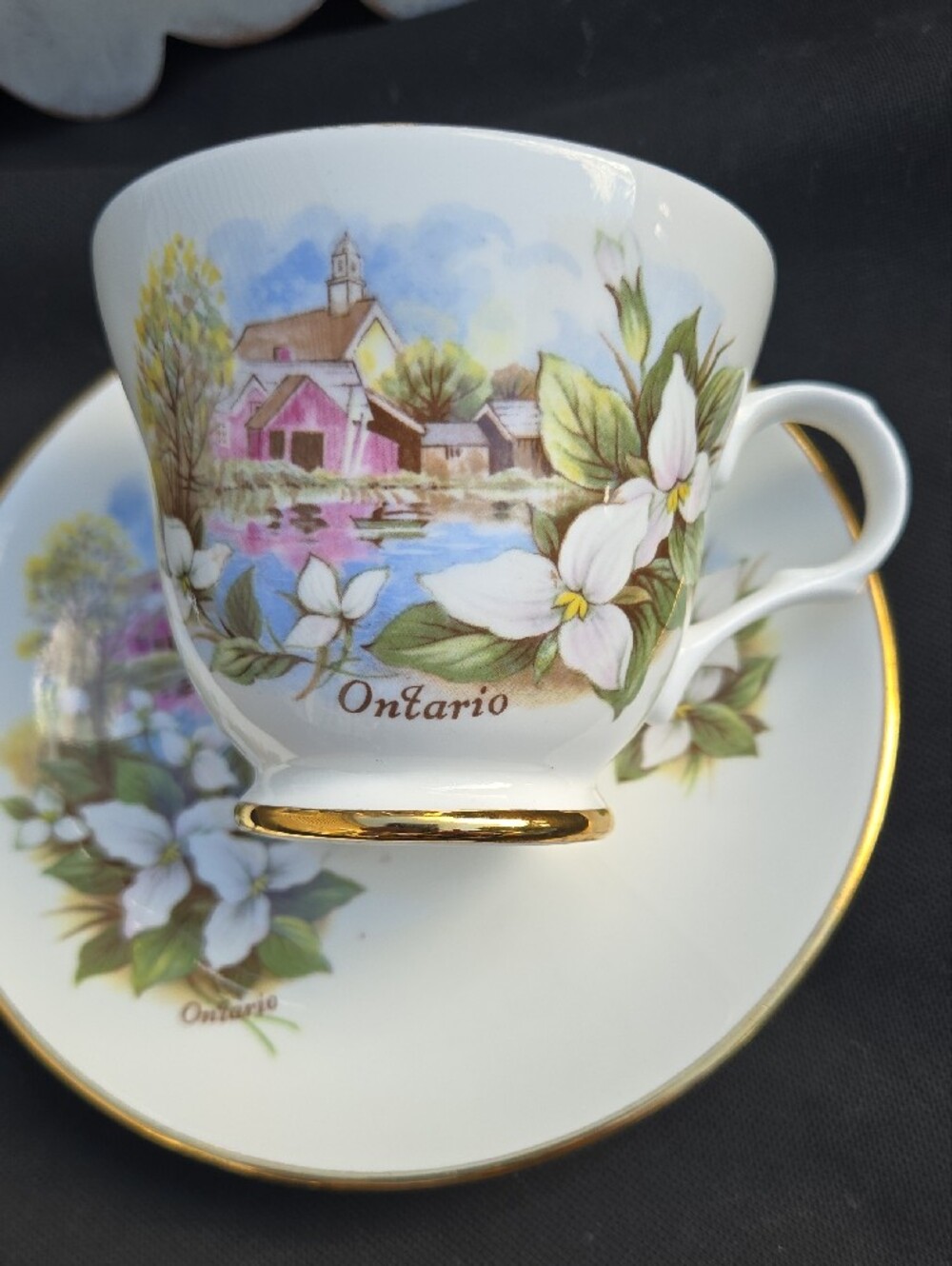 Vintage Crown Trent Tea Cup Saucer Niagara Falls Floral England Bone China